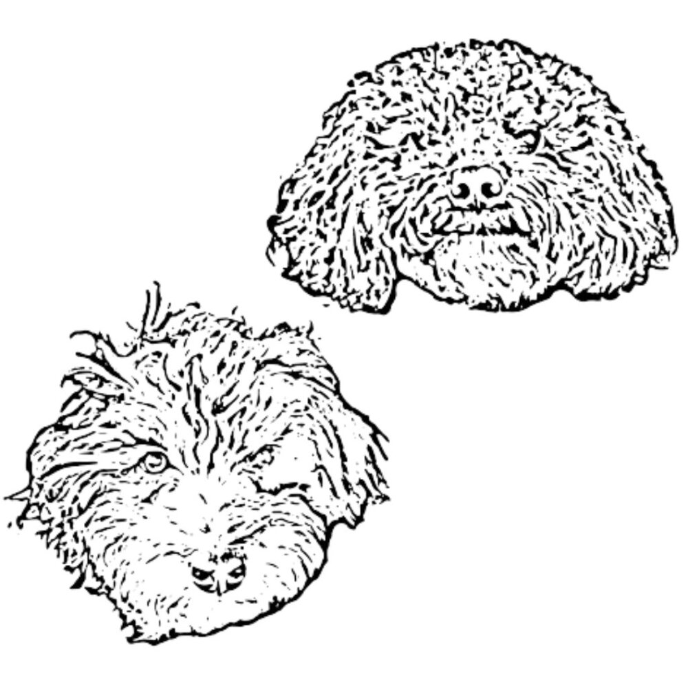 Extra Shipping Label